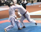 Чемпионат Мира по всестилевому каратэ 2019