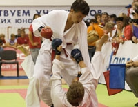 Положение о VI Всероссийских юношеских Играх боевых искусств